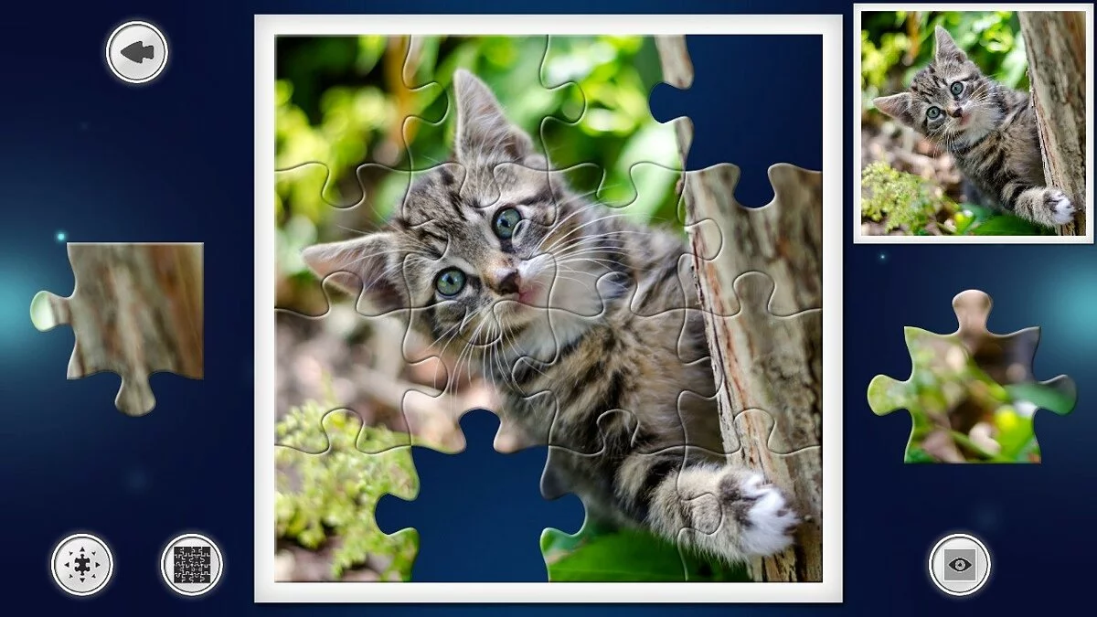 Картинка из 