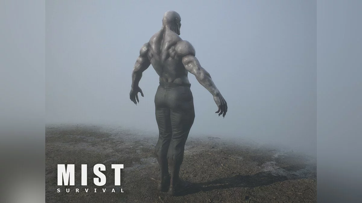 Арт из Mist Survival