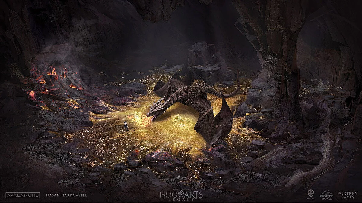 Арт из Hogwarts Legacy