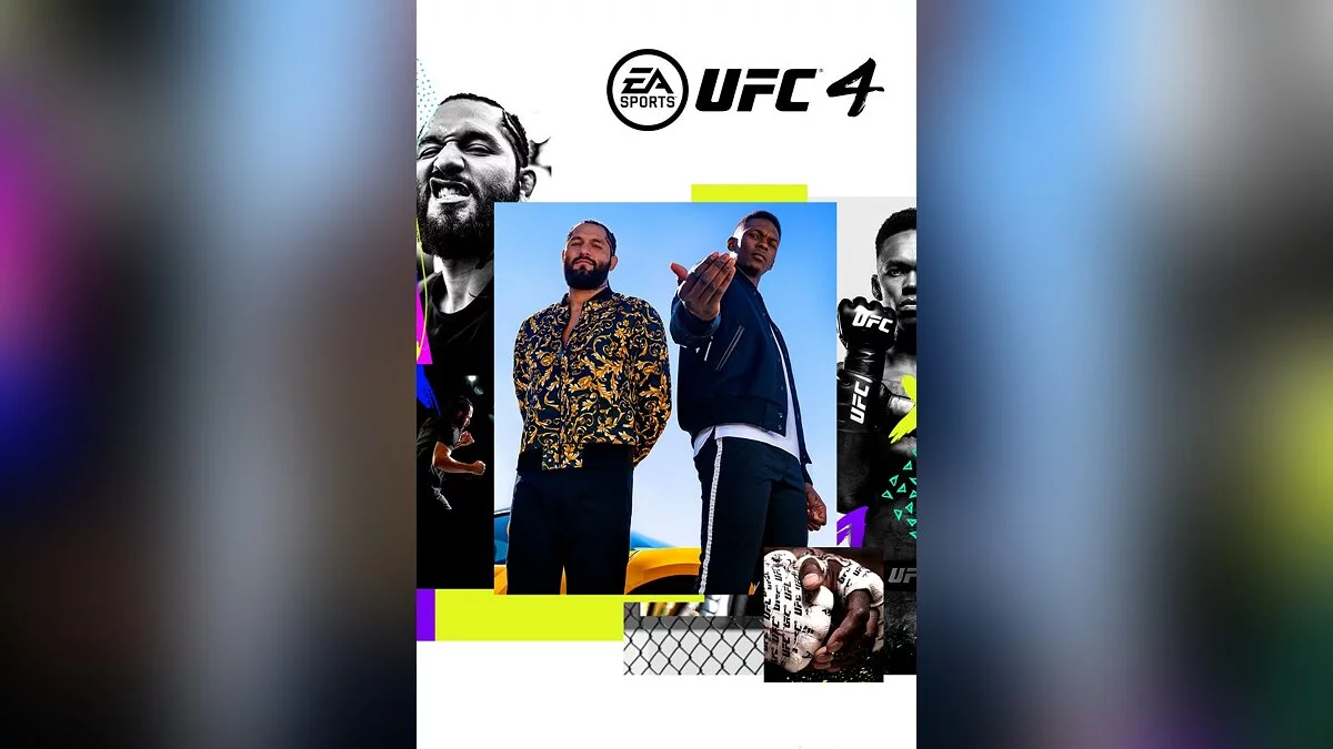 Арт из UFC 4