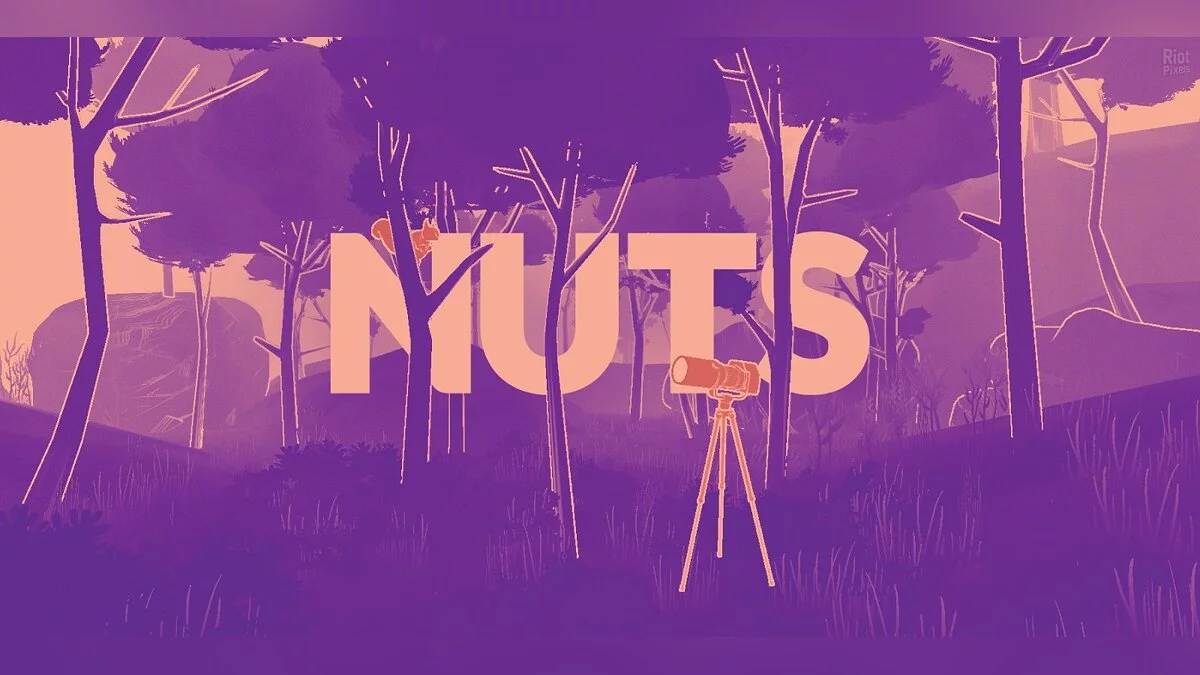 Арт из NUTS