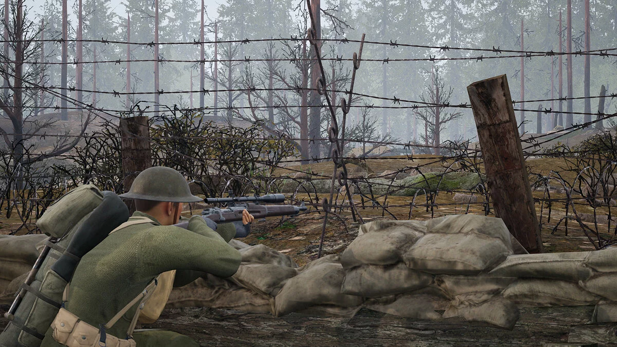 Картинка из 