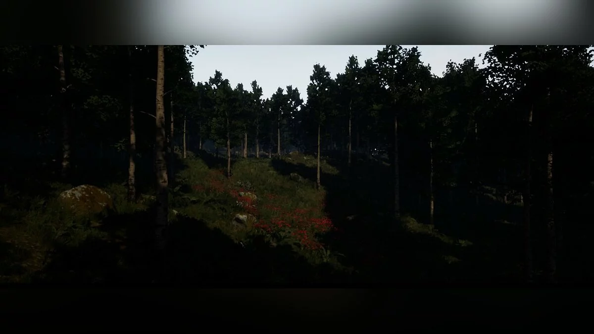 Скриншоты из Death World