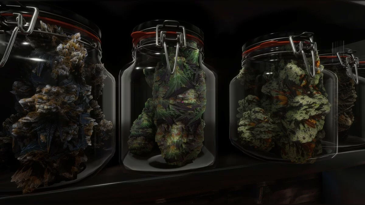 Скриншоты из Cannabis Farmer Strain Master / Картинка 6