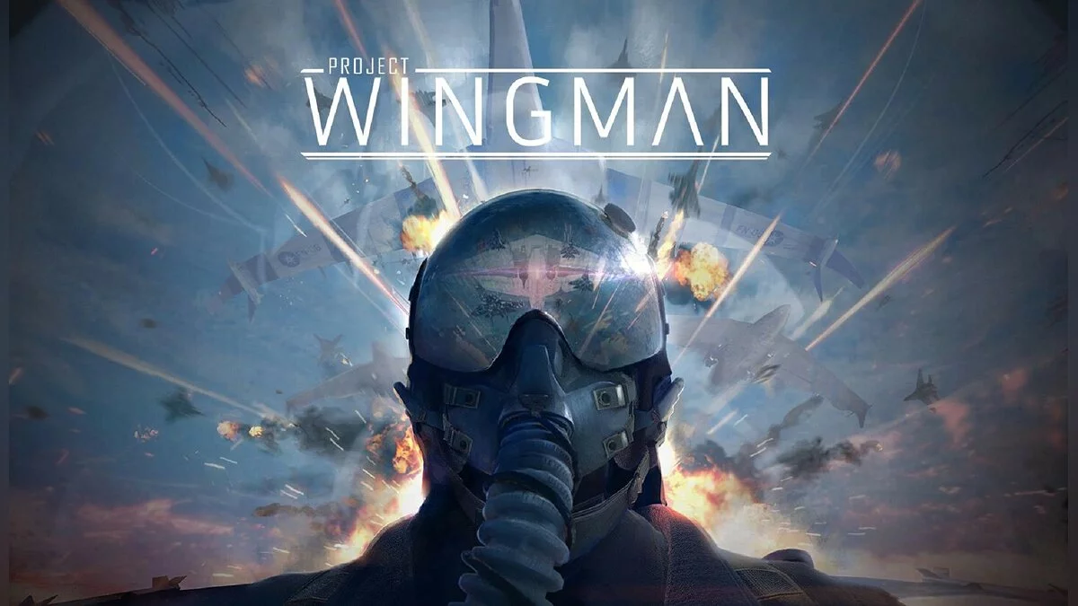 Арт из Project Wingman