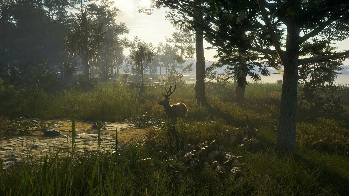 Скриншоты из theHunter: Call of the Wild - Te Awaroa National Park