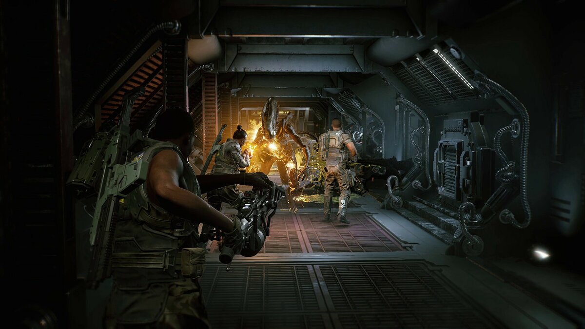 Aliens: Fireteam Elite - что это за игра, трейлер, системные требования,  отзывы и оценки, цены и скидки, гайды и прохождение, похожие игры