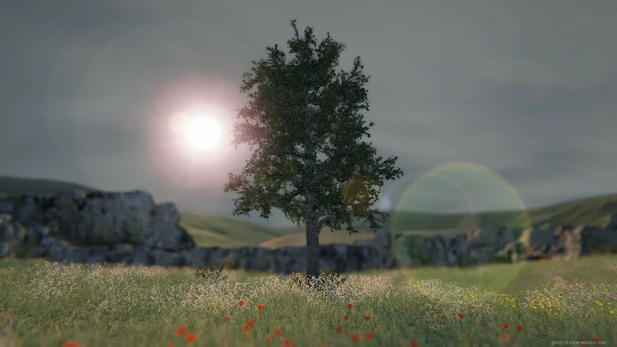 Скриншоты из Tree Simulator 2020