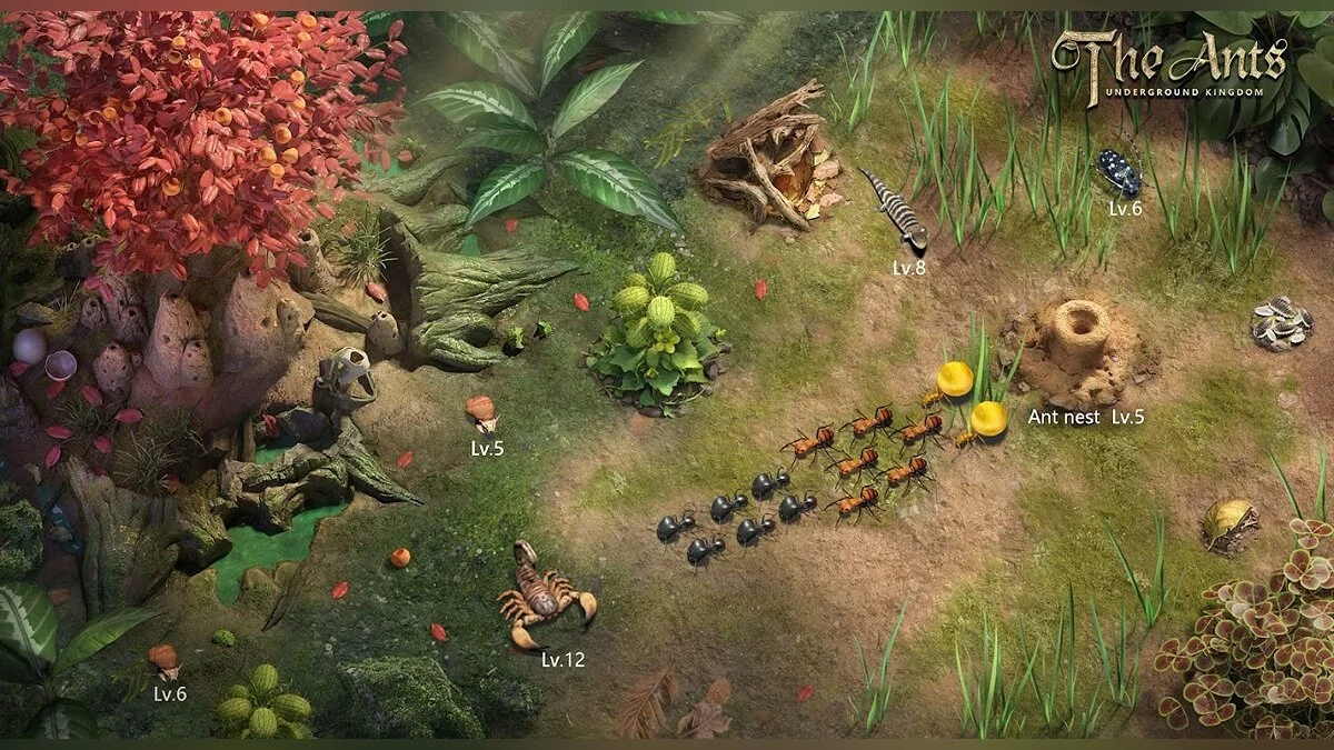 Картинка из 