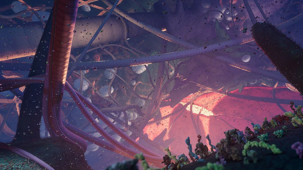 Картинка из 