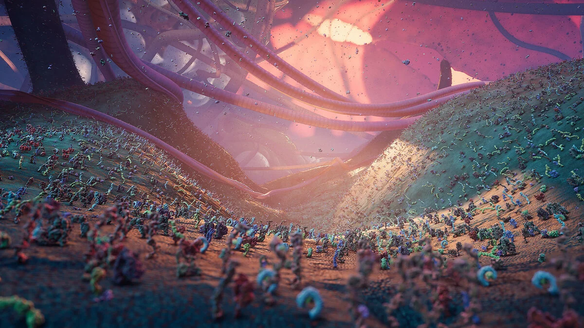 Картинка из 