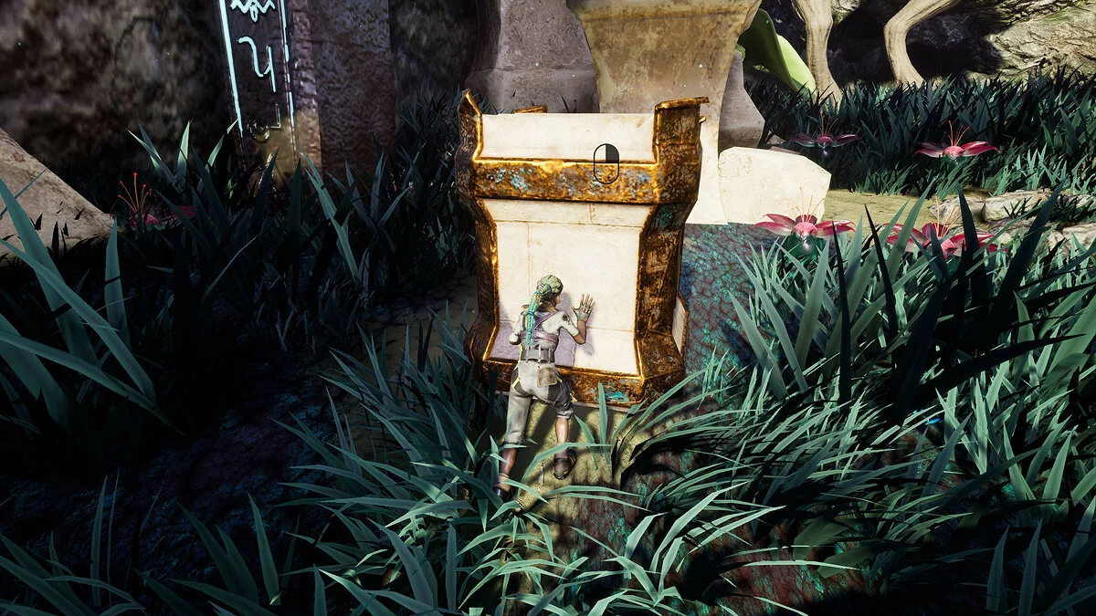 Картинка из 