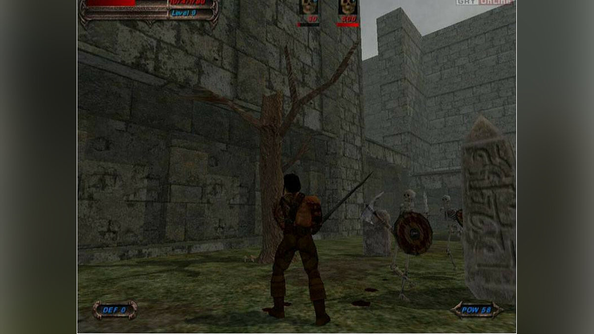 Blade of Darkness тормозит. Низкий FPS