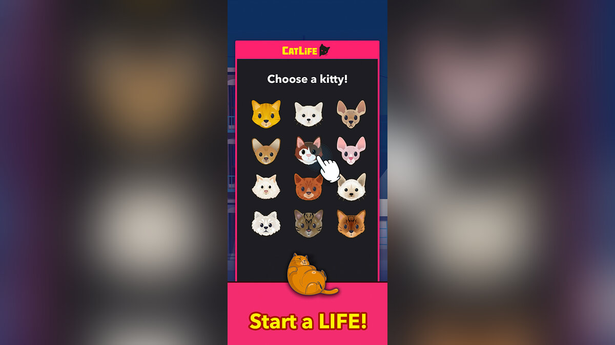 CatLife: BitLife Cats - что это за игра, трейлер, системные требования,  отзывы и оценки, цены и скидки, гайды и прохождение, похожие игры