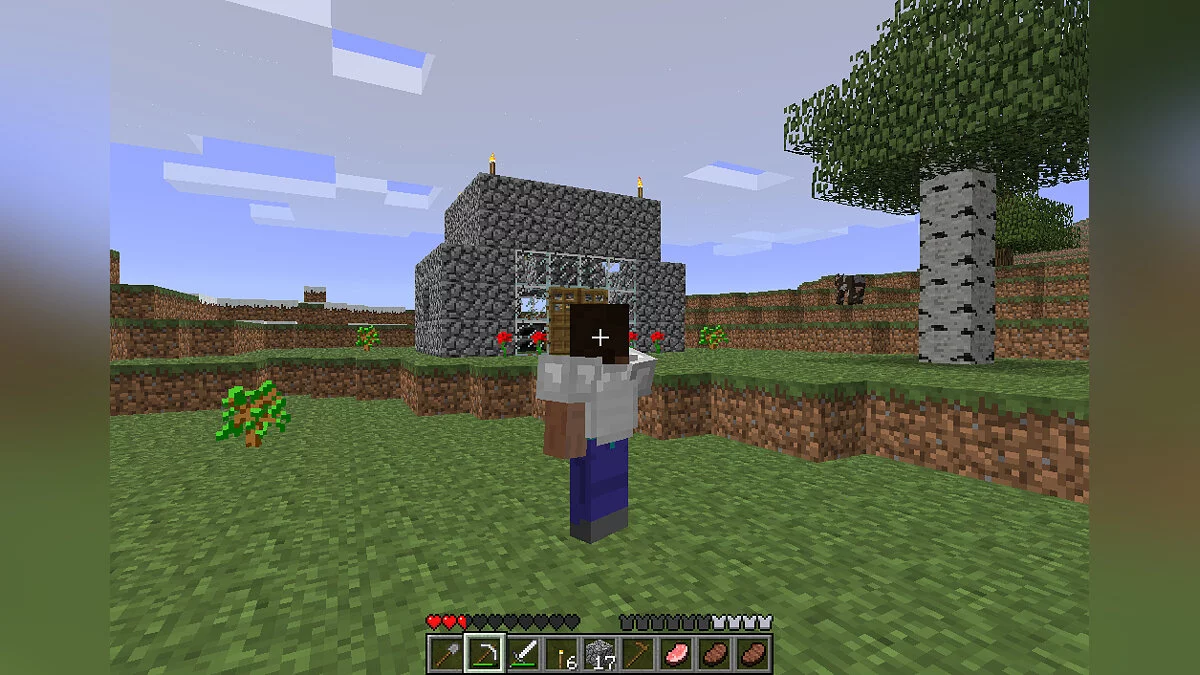 Скриншоты из Minecraft / Картинка 103