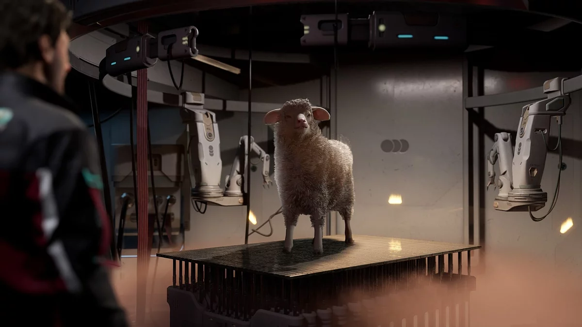 Картинка из 