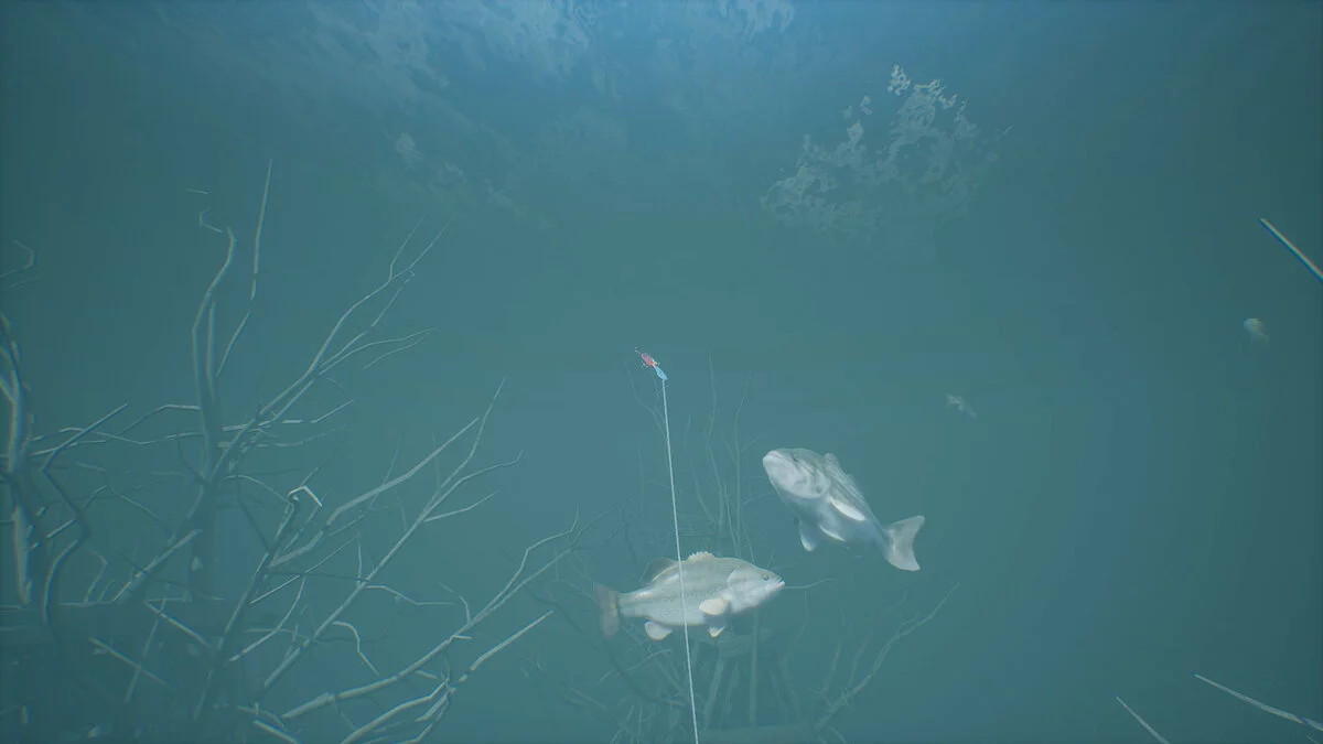 Скриншоты из Bassmaster Fishing 2022