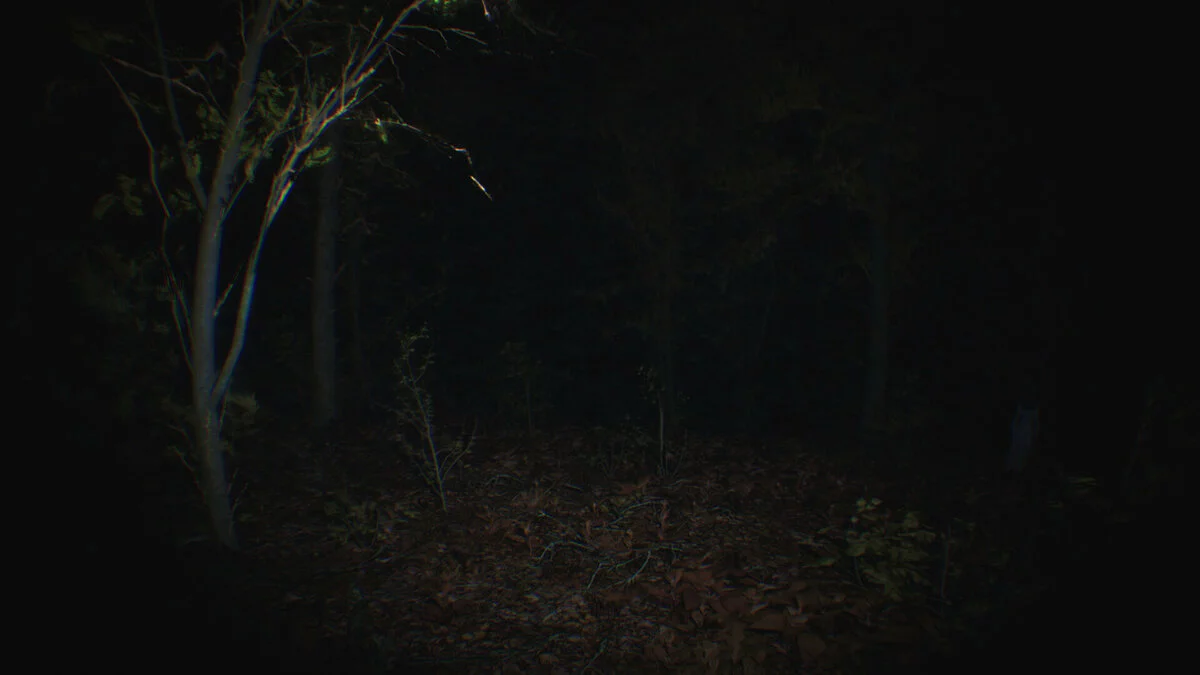 Скриншоты из Paranormal Tales