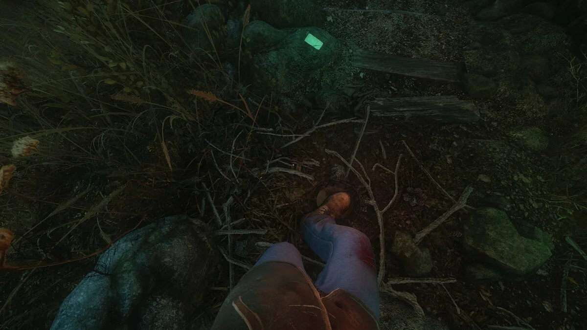 Скриншоты из The Cursed Forest