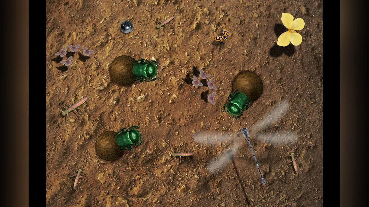 Скриншоты из Isopod A RolyPoly Science Game
