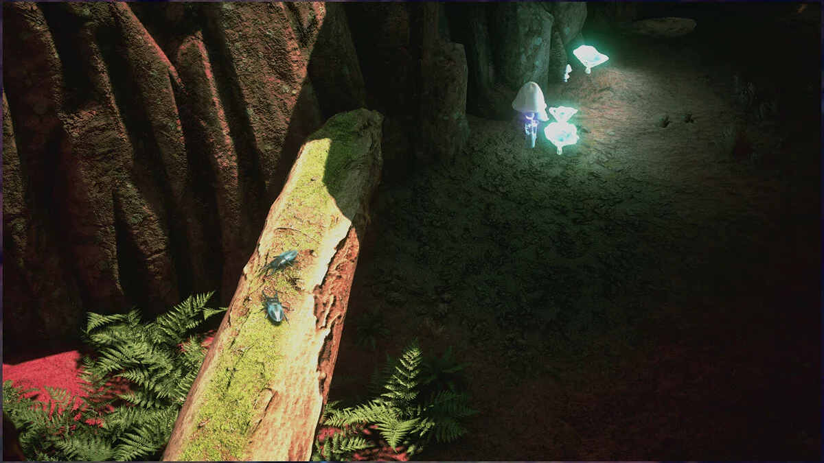 Картинка из 