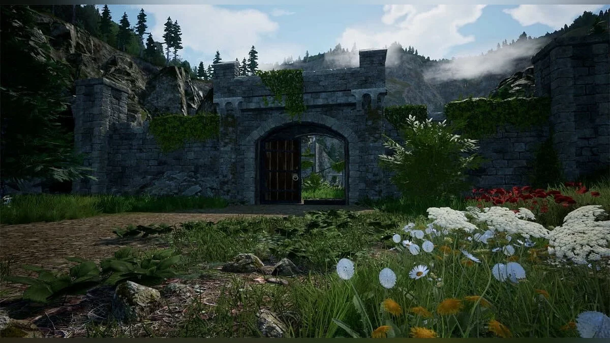 Картинка из 