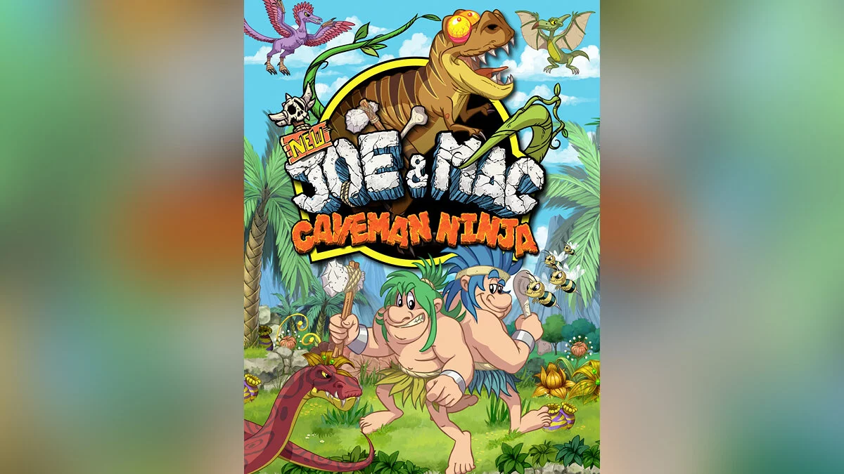 Арт из New Joe & Mac - Caveman Ninja