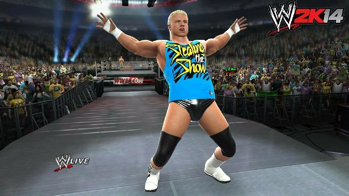 Скриншоты из WWE 2K14