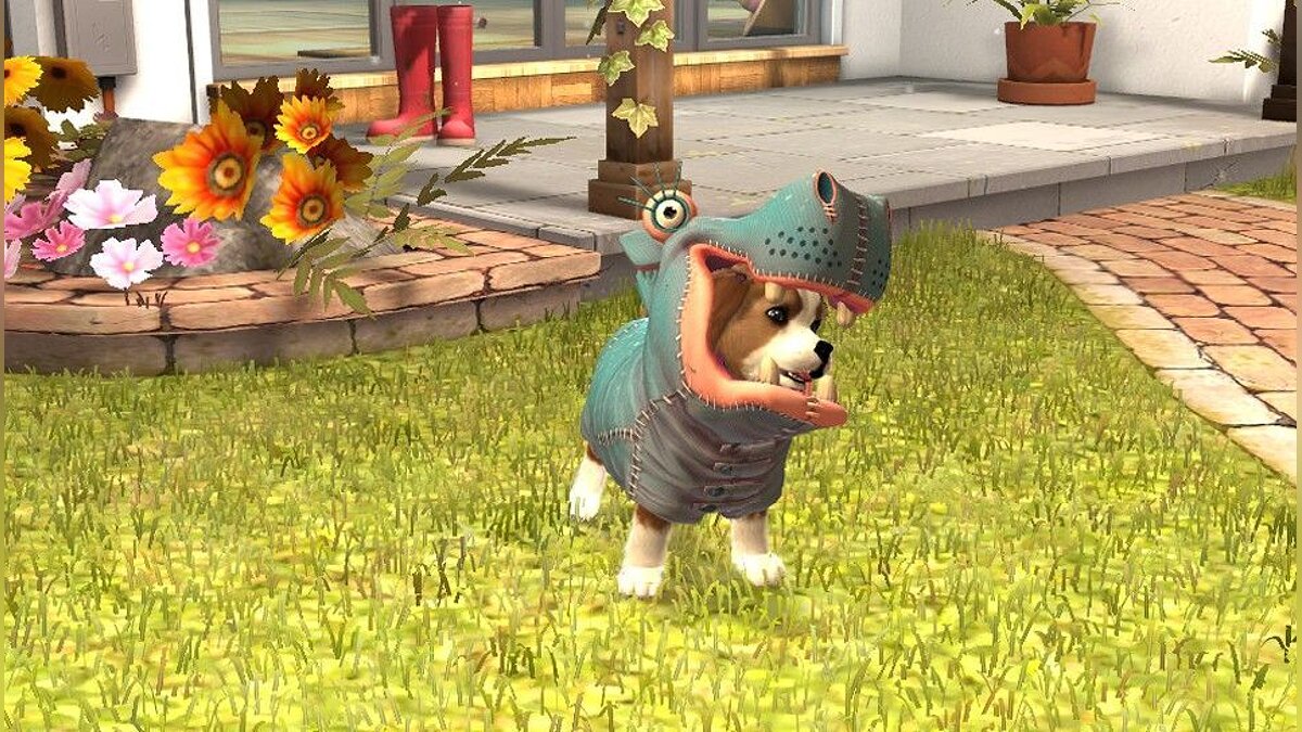 PS Vita Pets - что это за игра, трейлер, системные требования, отзывы и  оценки, цены и скидки, гайды и прохождение, похожие игры