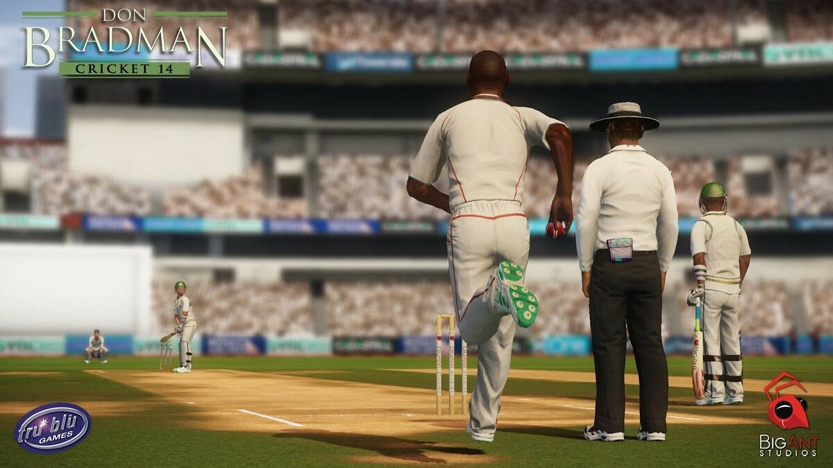 Don Bradman Cricket 14 - что это за игра, трейлер, системные требования,  отзывы и оценки, цены и скидки, гайды и прохождение, похожие игры