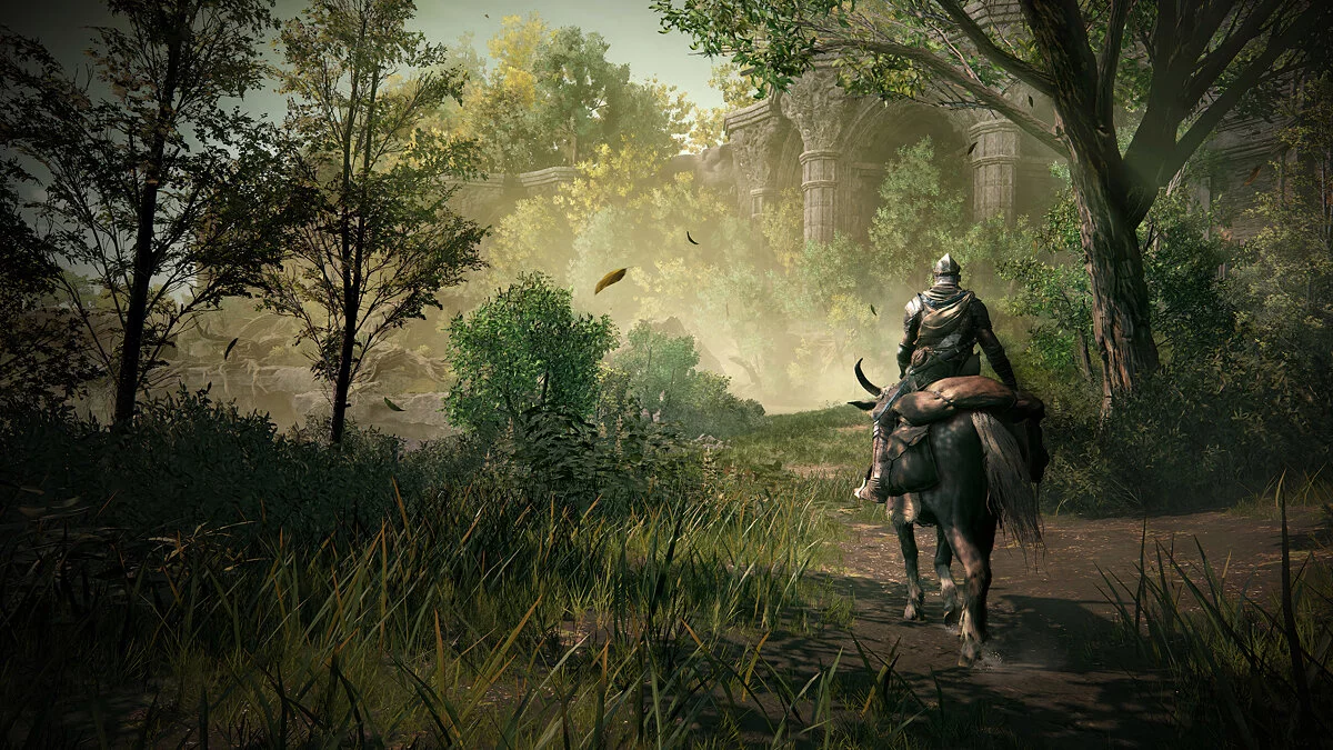 Скриншоты из Elden Ring Shadow of the Erdtree