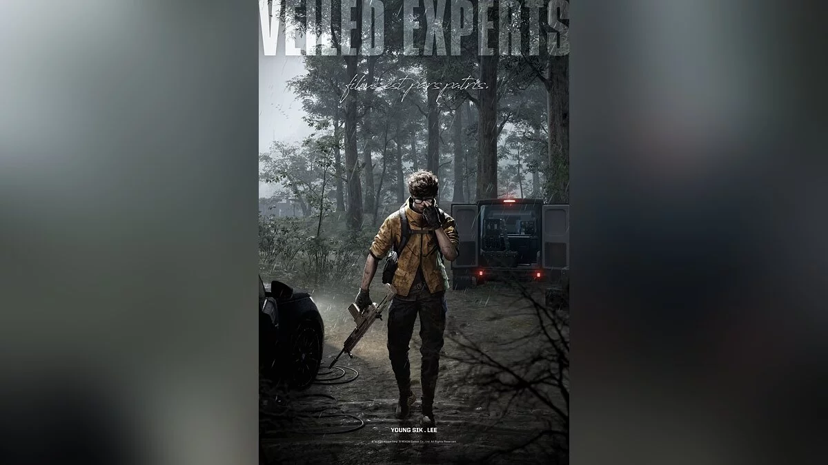 Арт из Veiled Experts