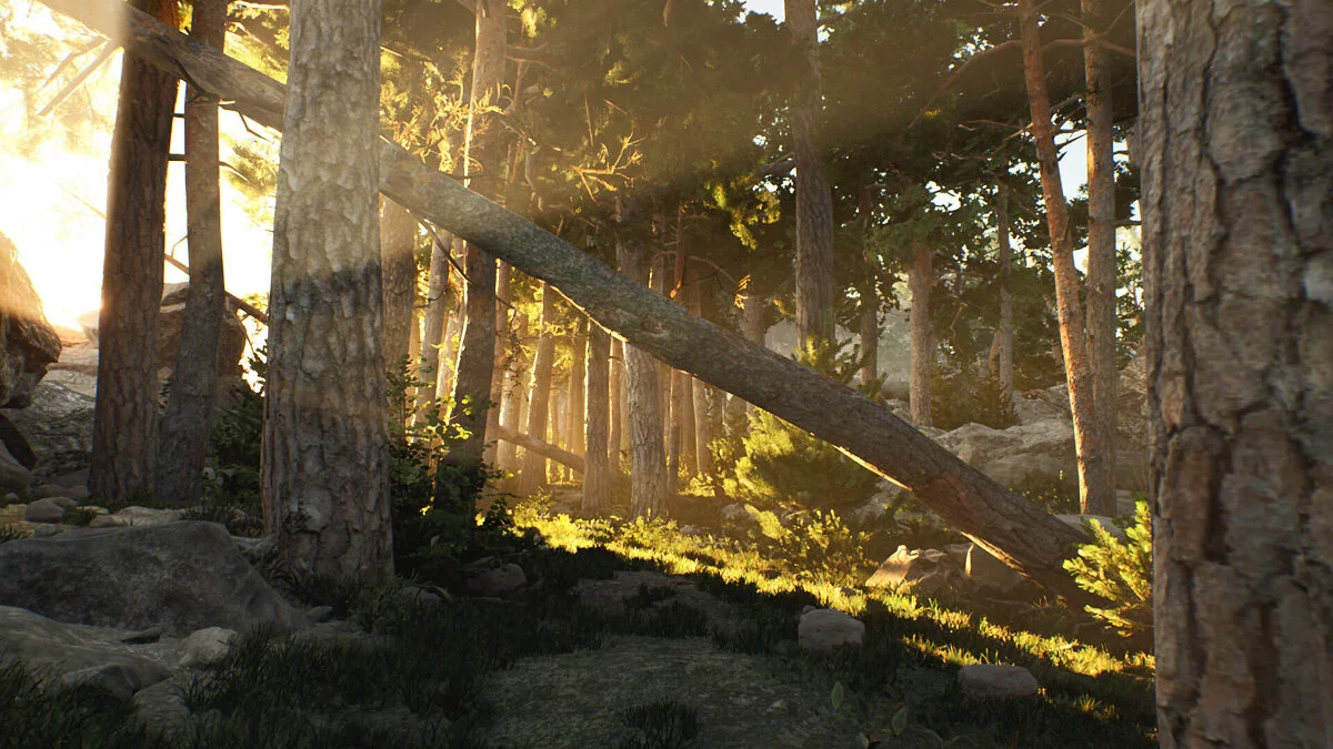 Скриншоты из The Archipelago Promise