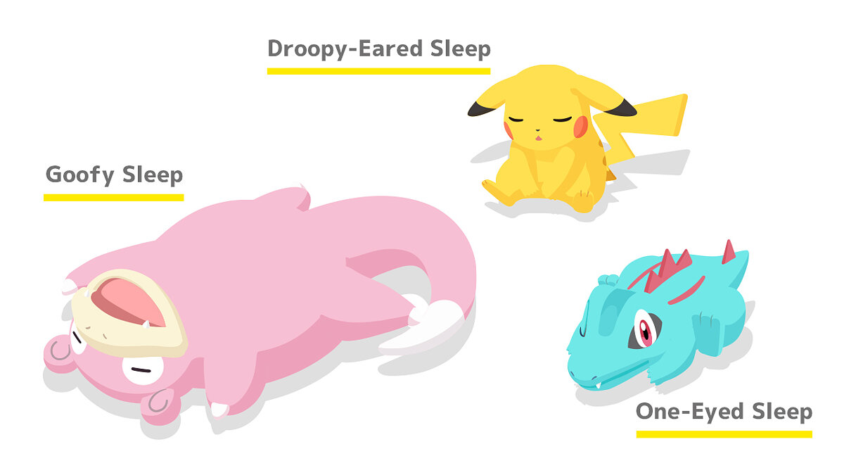 Pokemon Sleep - что это за игра, трейлер, системные требования, отзывы и  оценки, цены и скидки, гайды и прохождение, похожие игры Pokémon Sleep