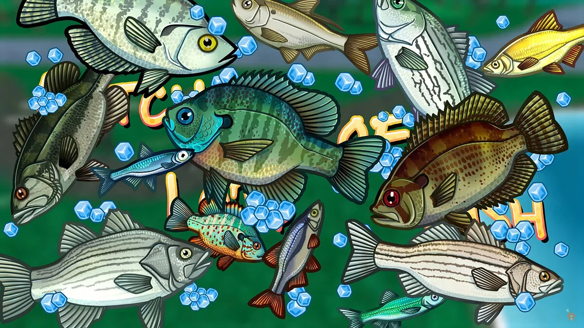 Скриншоты из SkateFish