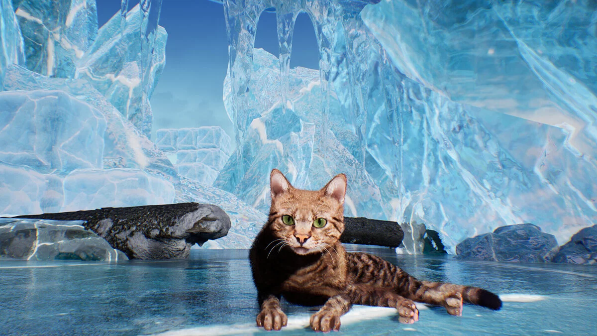 Скриншоты из Super Cat Simulator