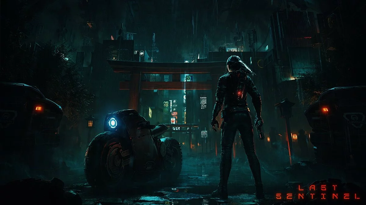 Арт из Last Sentinel