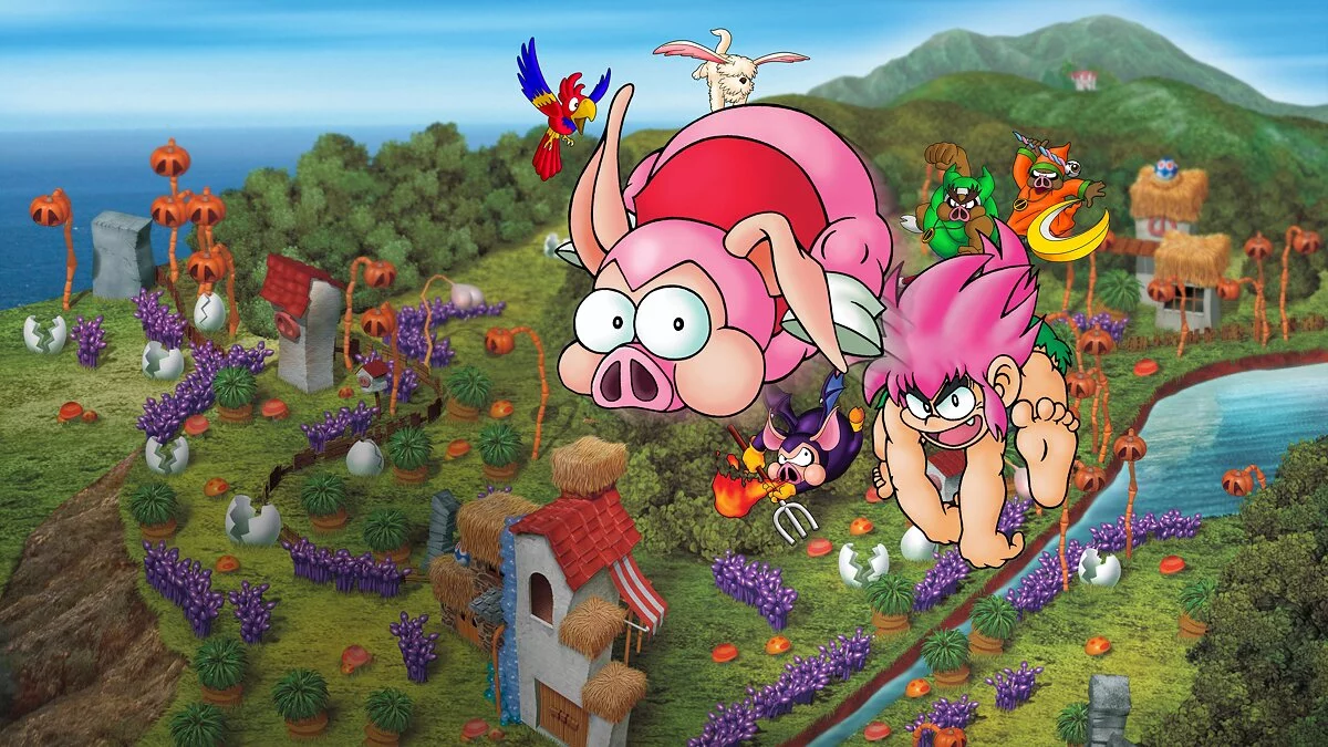 Арт из Tomba! Special Edition