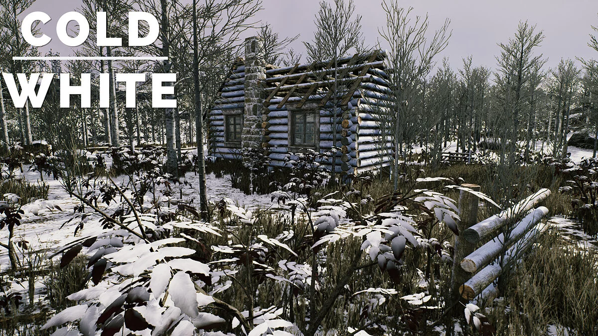 Скриншоты из The Cold White
