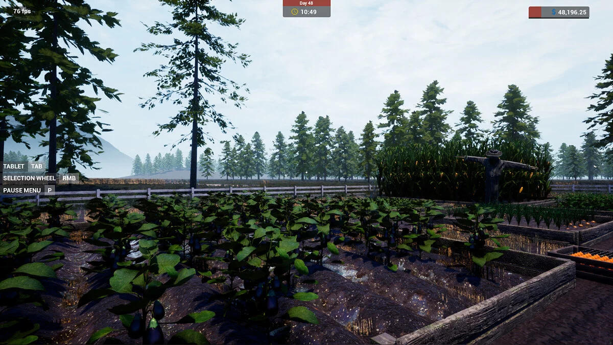 Скриншоты из Farmer's Shop Simulator