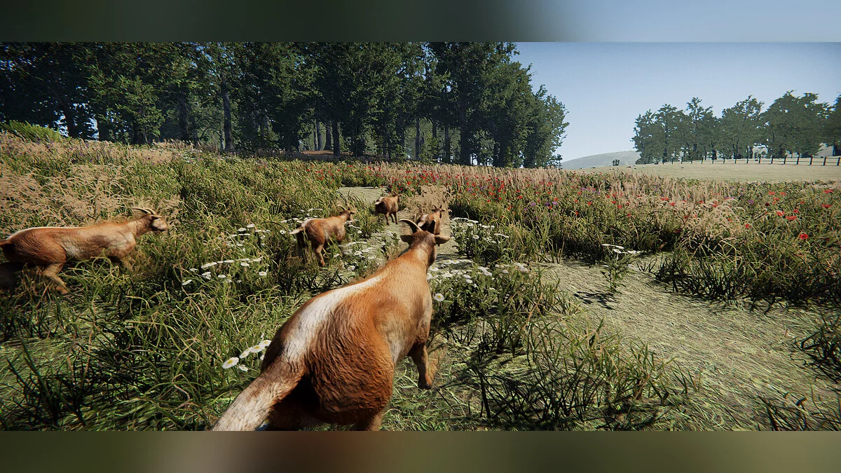 Скриншоты из Goat Massacre