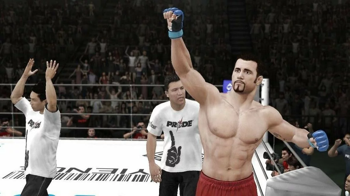 Скриншоты из UFC Undisputed 3 / Картинка 45