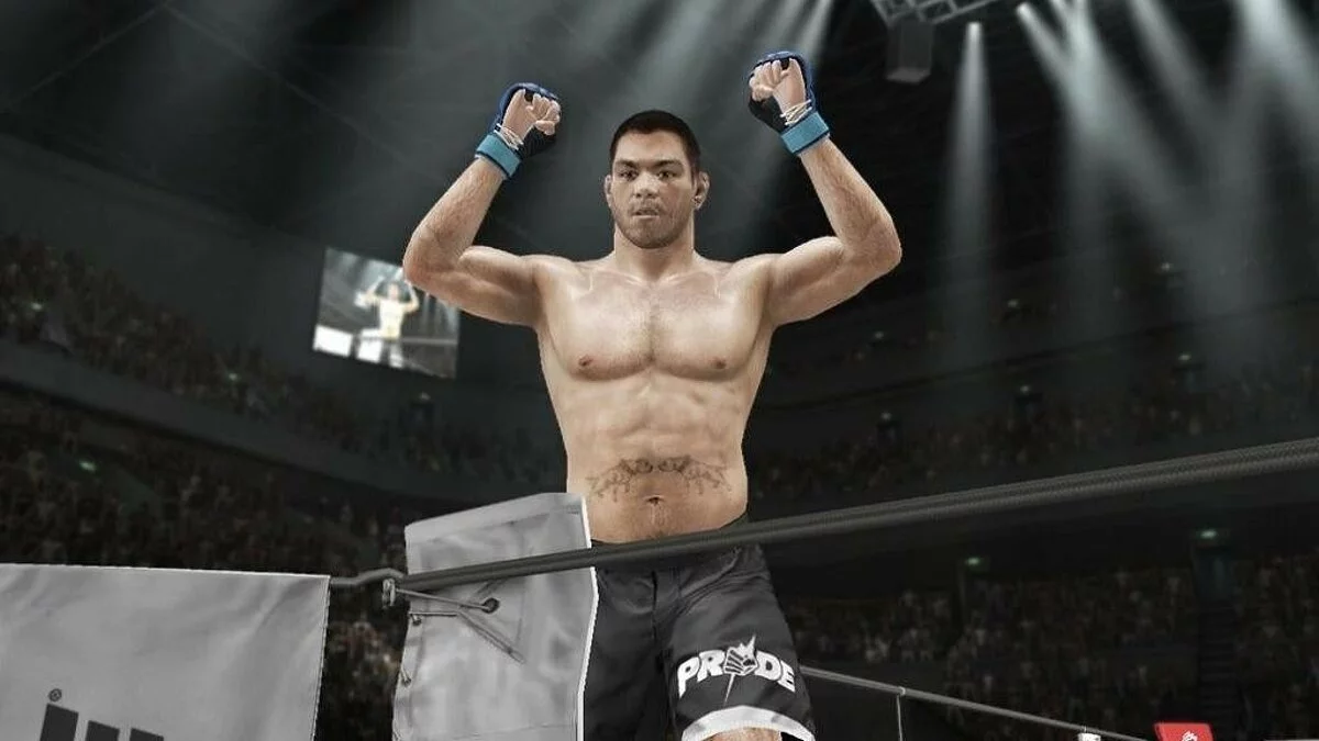 Скриншоты из UFC Undisputed 3 / Картинка 46