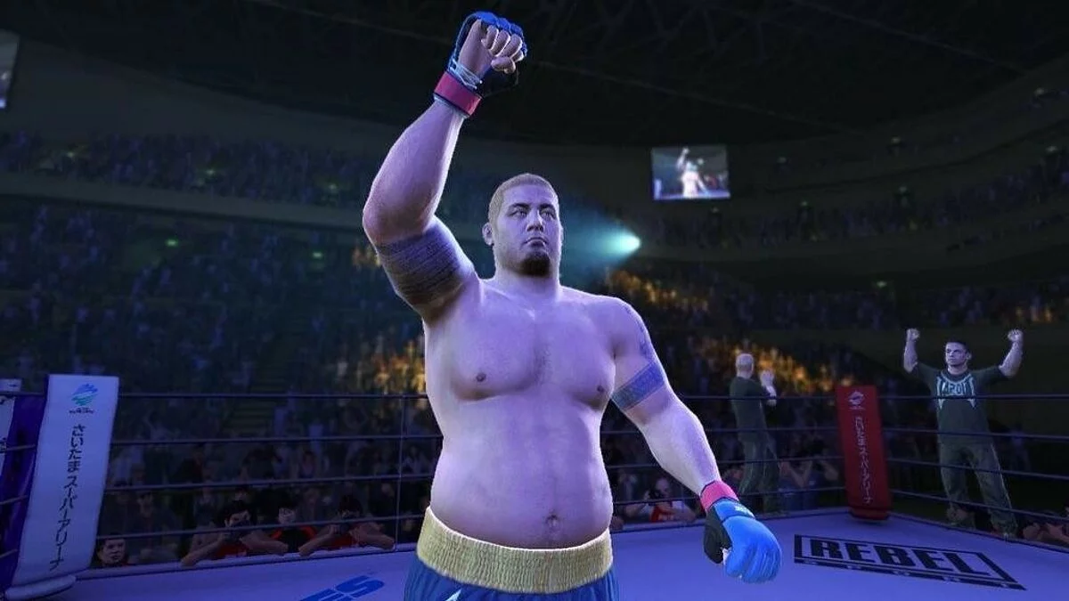 Скриншоты из UFC Undisputed 3 / Картинка 51