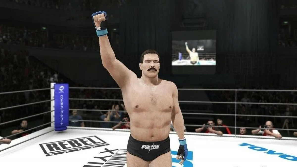 Скриншоты из UFC Undisputed 3 / Картинка 61