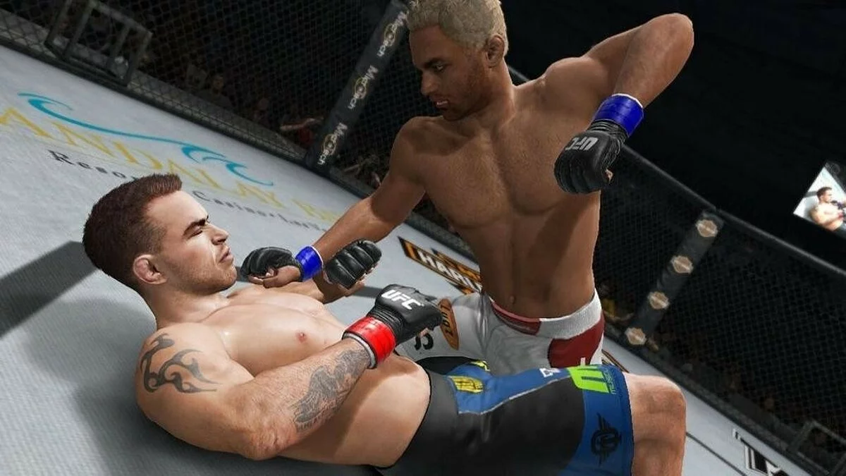 Скриншоты из UFC Undisputed 3 / Картинка 77