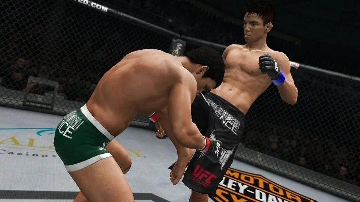 Скриншоты из UFC Undisputed 3 / Картинка 91