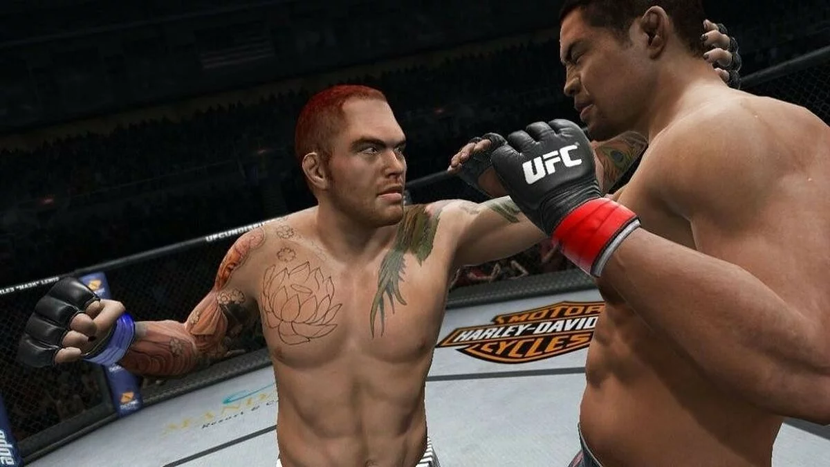 Скриншоты из UFC Undisputed 3 / Картинка 114