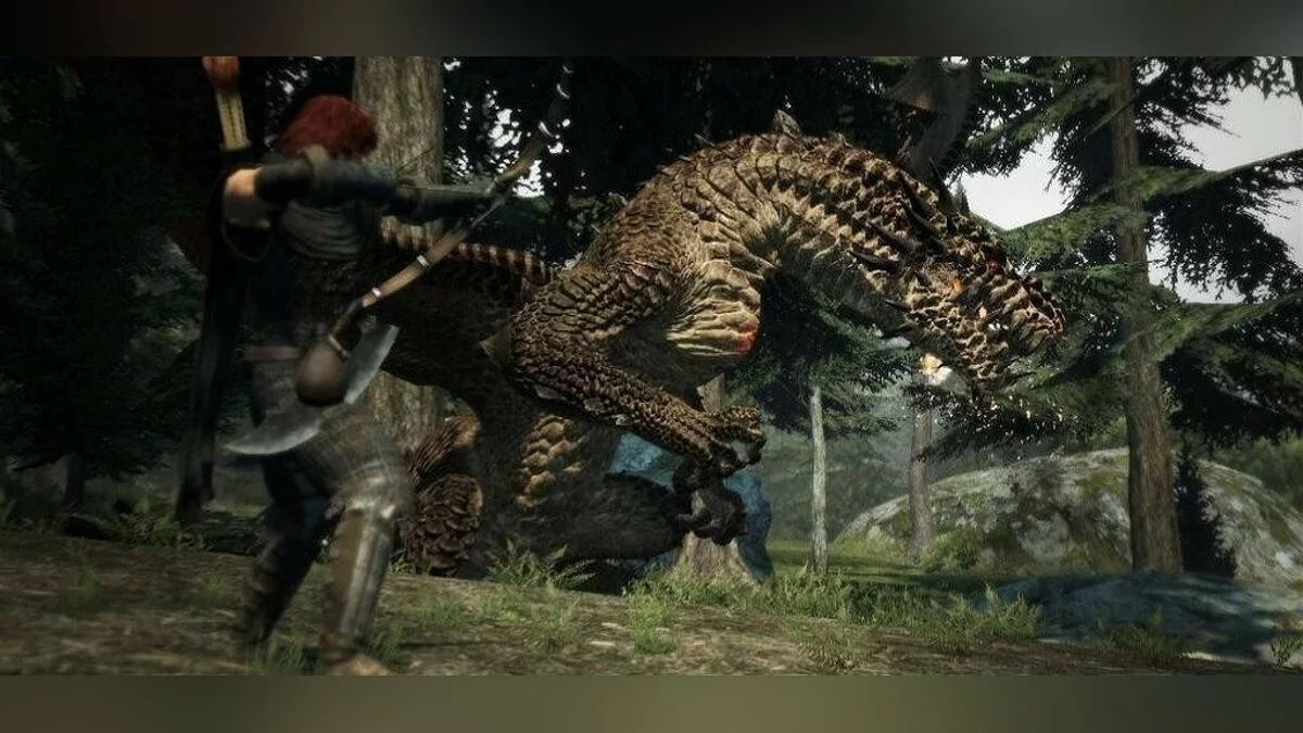 Скриншоты из Dragon's Dogma / Картинка 242