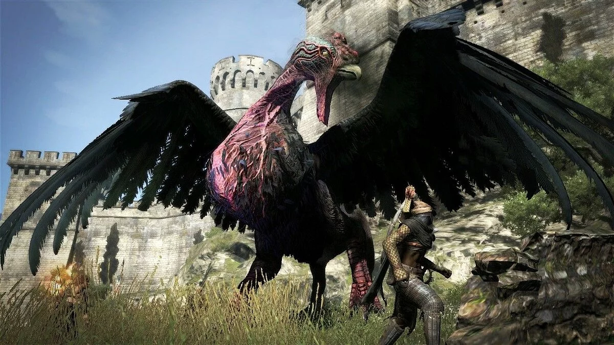 Скриншоты из Dragon's Dogma / Картинка 194